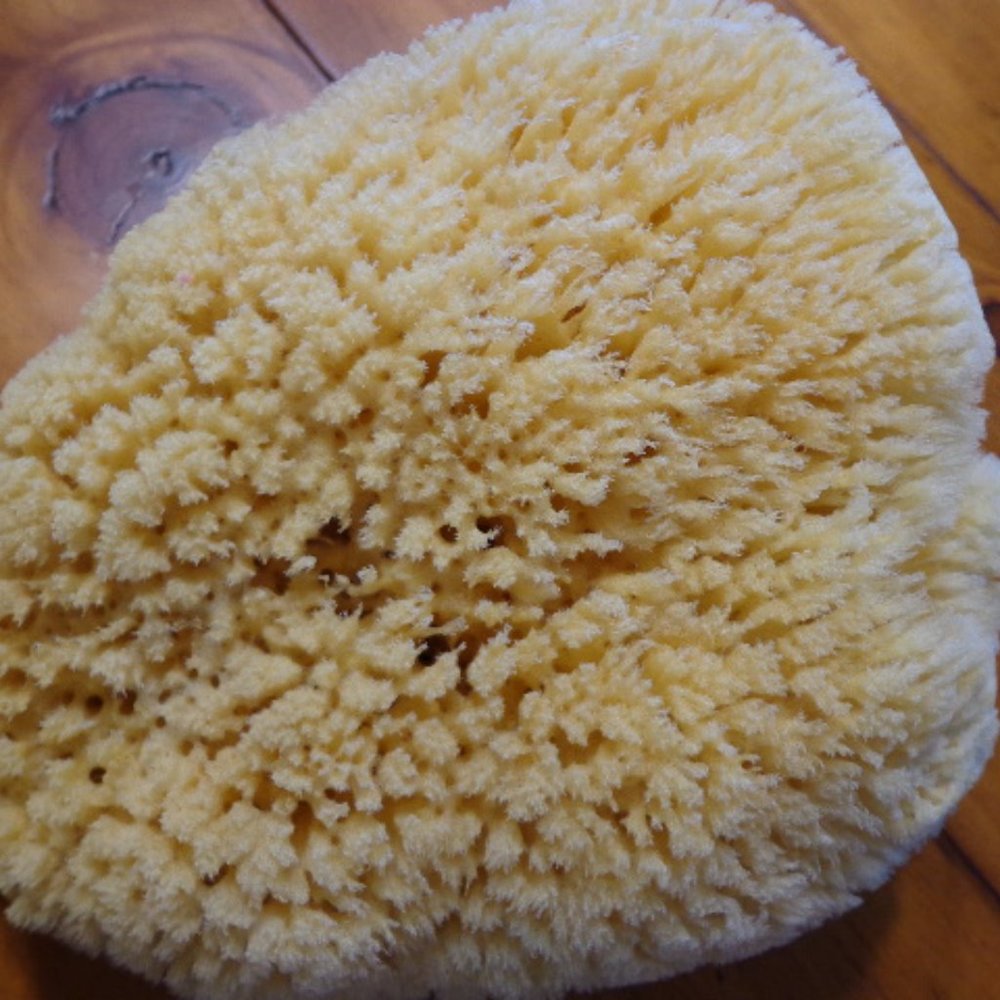 Lot of 2 New! Authentic Natural Select Sponges - Picture 8 of 8